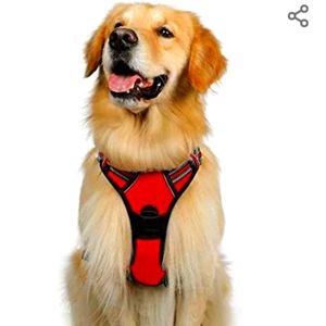 Rabbitgoo X-Large Dog Harness
